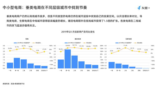 友盟2019上半年暨Q3移动互联网发展报告 移动互联网业务支撑软件的研发趋势与机遇